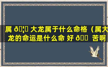 属 🦁 大龙属于什么命格（属大龙的命运是什么命 好 🐠 苦啊）